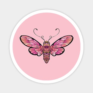 cute pink moth Magnet